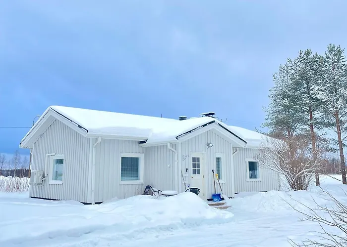 Beautiful Rural Experience With Reindeer